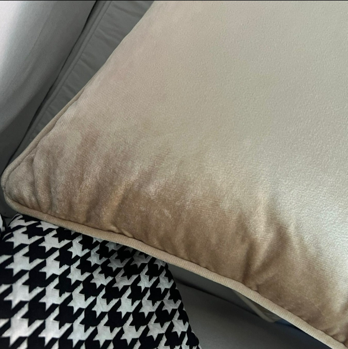 Champagne Cover