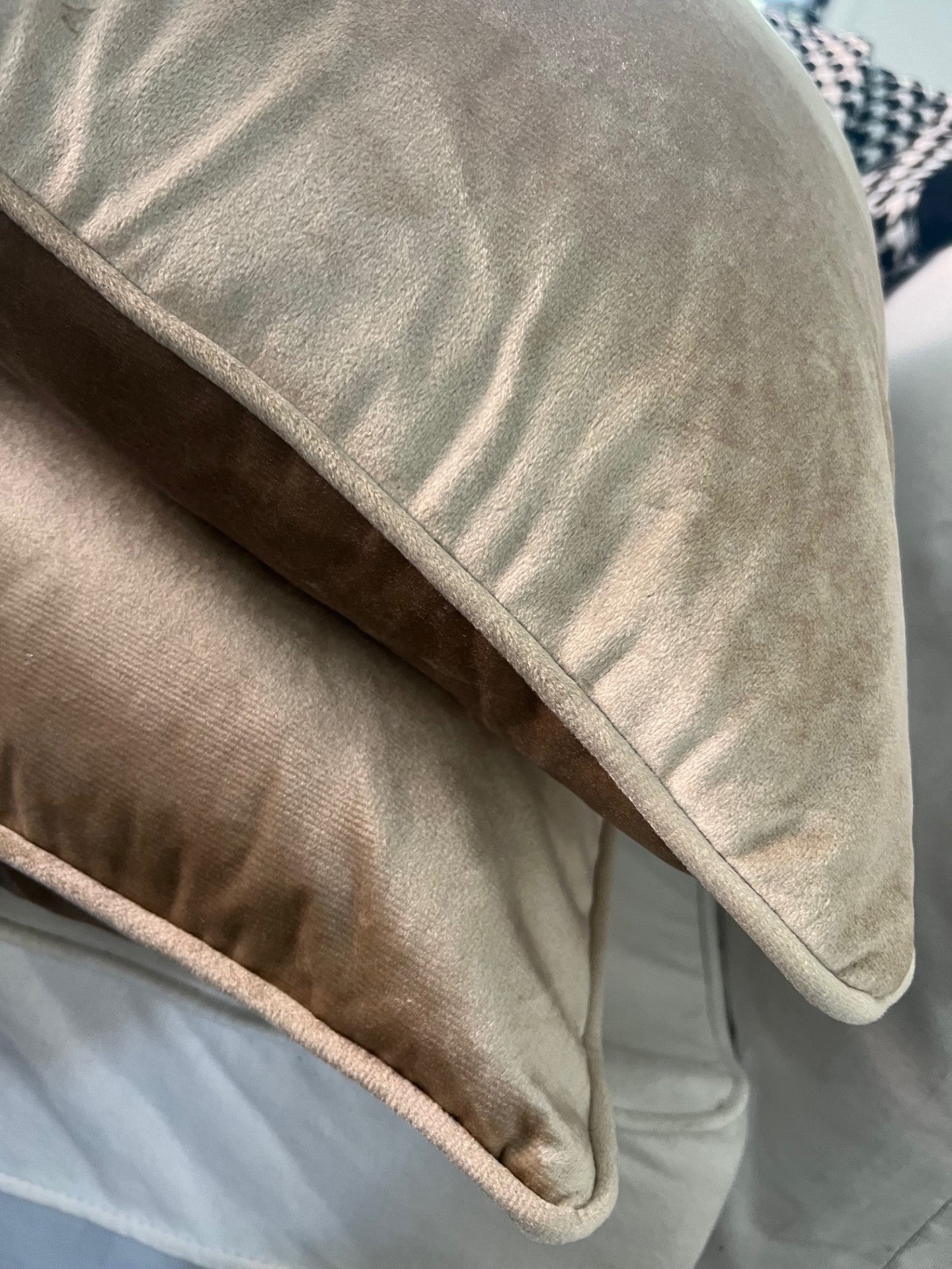 Champagne Cover